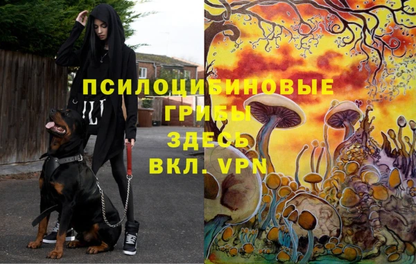 марки nbome Алексин