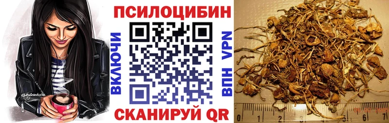 Галлюциногенные грибы Psilocybe  купить наркотик  Юрга 