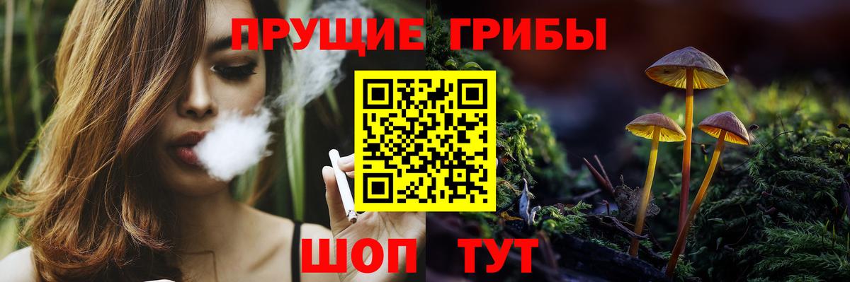 Галлюциногенные грибы Psilocybe Юрга